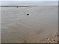 TF7845 : Port and Starboard markers in Brancaster Harbour by Ian Paterson