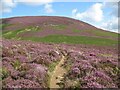 NY3030 : The Cumbria Way below Great Calva by Adrian Taylor