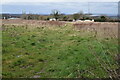 TQ5561 : Footpath across rough field to Romney Street by David Martin