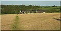 SX8466 : Footpath to Dainton by Derek Harper