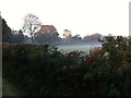 SP3384 : Autumn mist, Blackberry Lane by A J Paxton