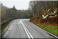 SH7654 : A470 near Pont-y-Pant by David Dixon