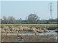 SK2118 : East bank of the River Trent, downstream of Walton by Christine Johnstone