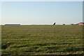 SJ8183 : Aircraft tail from the boundary fence by DS Pugh