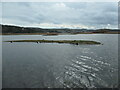 SH7977 : Island in the western lagoon, RSPB Conwy by Christine Johnstone