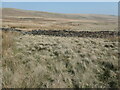 SD9916 : Waterworks drystone wall, below Green Withens reservoir by Christine Johnstone