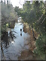 NT2474 : Antony Gormley statue in the Water of Leith by Chris Holifield