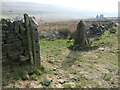 SE0216 : Re-used gateposts with shuttling holes, London Pasture by Christine Johnstone