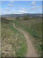 SS8082 : Duneland footpath by Mawdlam on Wales Coast Path relief section by eswales