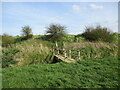 TF3941 : Footbridge by the old Sea Bank by Jonathan Thacker