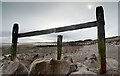 SH9178 : Decaying groynes by Andy Waddington