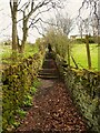 SE0919 : Elland Footpath 66 approaching the steps, Old Lindley  by Humphrey Bolton