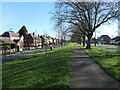 SE5904 : Thorne Road, Doncaster by Christine Johnstone