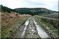 SO3282 : A Muddy Path at Stepple by Jeff Buck