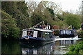 SU8503 : Chichester Canal - 200th Anniversary by Peter Trimming