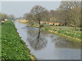 ST4241 : Shapwick Heath - South Drain by Colin Smith