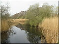 ST4240 : Shapwick Heath - Avalon Marshes by Colin Smith