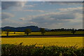 SJ3123 : View south to Breidden Hill, Woolston Bank by Christopher Hilton