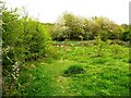 SE1729 : Path in the new nature area next to Prologis Park, North Bierley by Humphrey Bolton