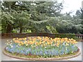 ST3087 : April flowers, Belle Vue Park, Newport by Robin Drayton