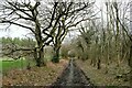 SO3183 : The Shropshire Way near Steppleknoll by Jeff Buck