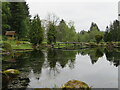 NS9899 : The Japanese Garden at Cowden by M J Richardson