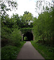 SE2023 : Littletown Tunnel, Spen Valley Greenway, Liversedge by habiloid