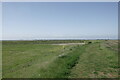 TQ9693 : Jubilee Marsh Trail - RSPB Wallasea Island by Roger Jones