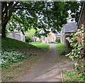 ST3188 : Overhanging tree, Shaftesbury, Newport by Jaggery