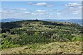 SJ3013 : Breidden Hill viewed from Middletown Hill by Mat Fascione