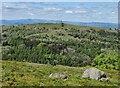 SJ3013 : Breidden Hill viewed from Middletown Hill by Mat Fascione