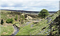 NZ0033 : Stone-built pillars above Howden Burn by Trevor Littlewood