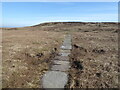 SE0704 : The Pennine Way near Dan Hill by Dave Kelly