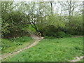 SU4511 : Footbridge near Alfriston Gardens, Shoreburs Greenway by Christine Johnstone