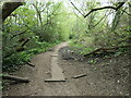 SU4611 : Boarded path, Shoreburs Greenway by Christine Johnstone