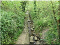 SU4611 : Sandbagged stream, Shoreburs Greenway by Christine Johnstone