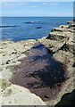 TA1381 : Rock pool on Filey Brigg by Oliver Dixon