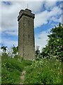 SO4685 : Flounders' Folly on Callow Hill by Mat Fascione