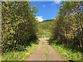 NN5721 : Forestry entrance near Balquhidder Station by Steven Brown