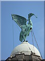 SJ3390 : One of the Liver Birds by Chris Allen