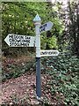 ST1236 : Somerset County Council fingerpost - South of Heddon Oak-Water Lane junction by Marika Reinholds