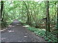 TQ0734 : Downs Link and Sussex Border Path near Rudgwick by Malc McDonald