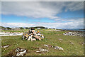 NM2823 : Cairn at Tràigh Mhòr by Andy Waddington