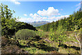 NN5930 : Allt Lochan nan Geadas makes room for native trees by Andy Waddington