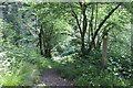 SN1608 : Footpath down to footbridge, Little Craig-y-borion Wood by M J Roscoe