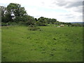 ST9979 : Earthworks by the fishpond by Neil Owen