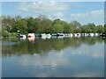 SK5335 : Upstream end of pontoon moorings, Beeston by Christine Johnstone