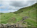 NS4376 : Path below the Lang Craigs by Alan O'Dowd