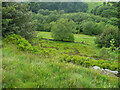 SE0617 : View down the hillside from Colne Valley Footpath 9/3, Scammonden by Humphrey Bolton