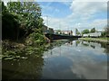 SK5738 : Nottingham Canal, between bridges 1A and 1B by Christine Johnstone